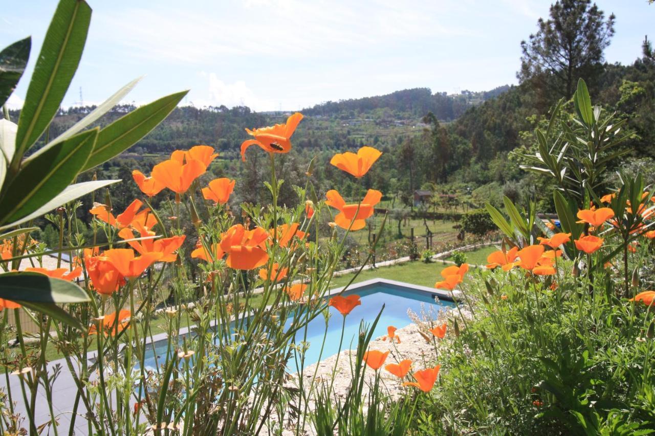Dantas Village Moure Dış mekan fotoğraf